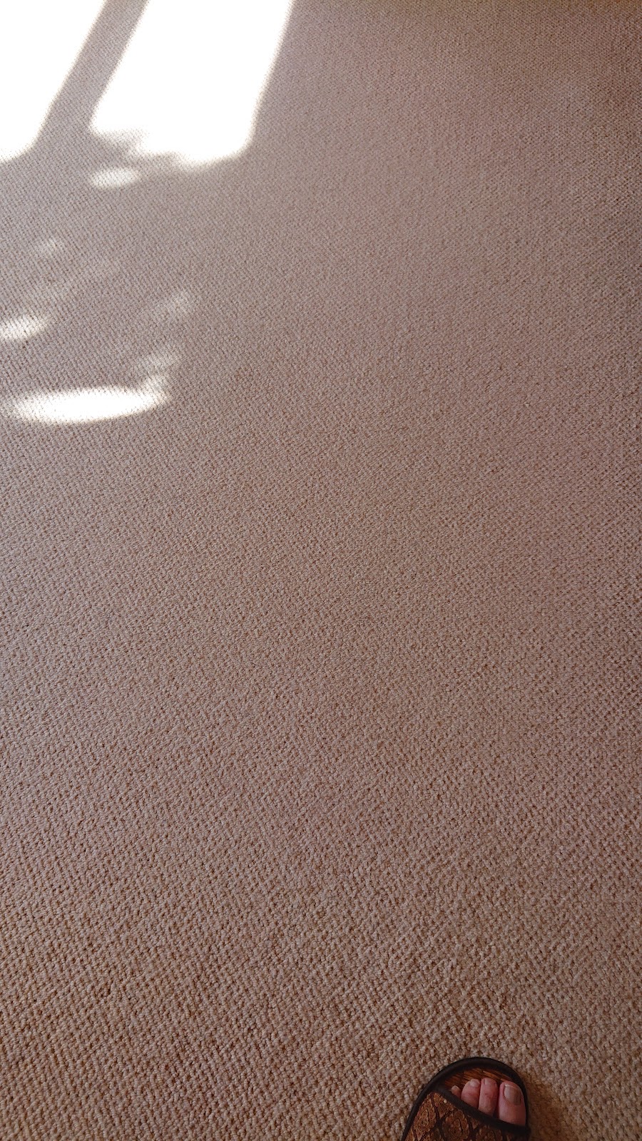 Supreme Carpet Cleaning in Finchley London